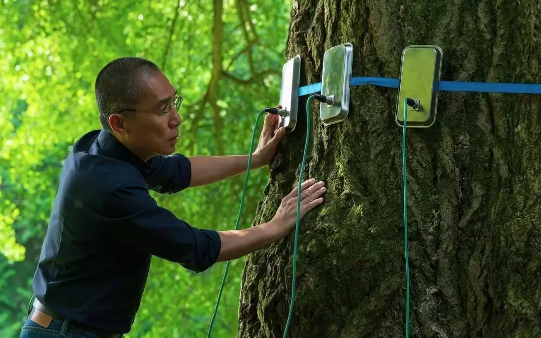 《寂静的朋友》主创到上海：梁朝伟和银杏树演对手戏，i人这次拍舒服了