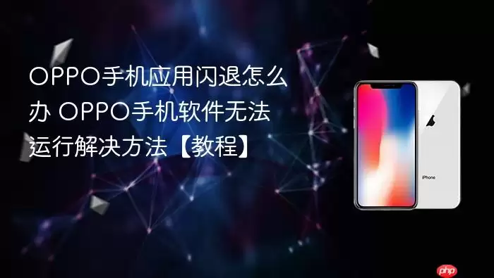 OPPO手机应用闪退怎么办 OPPO手机软件无法运行解决方法【教程】