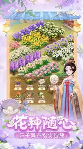 我的花园世界凤梨花如何