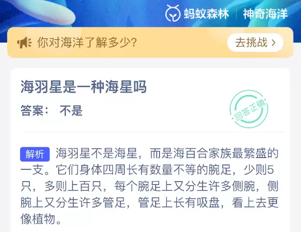 海羽星是一种海星吗
