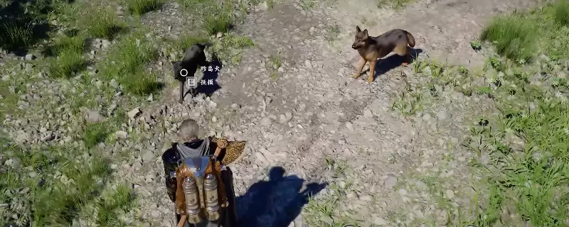 《红色沙漠》无限刷大量神器方法介绍