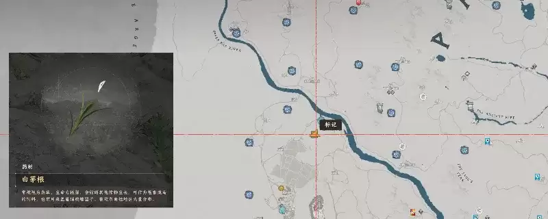 《红色沙漠》白茅根采集点详解-水雾盆地位置指南