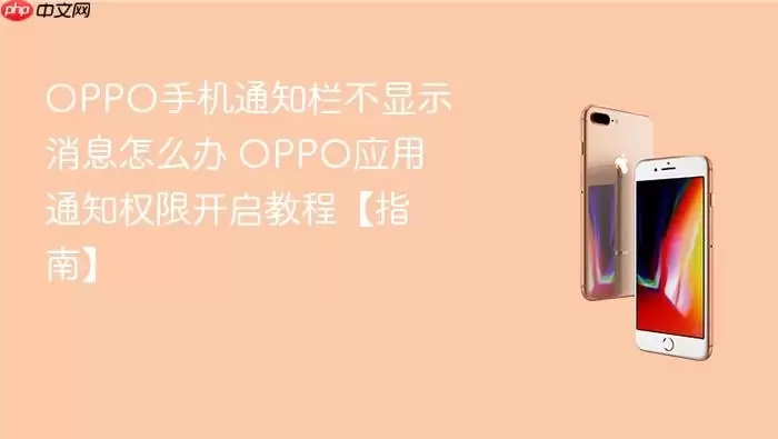 OPPO手机通知栏不显示消息怎么办 OPPO应用通知权限开启教程【指南】