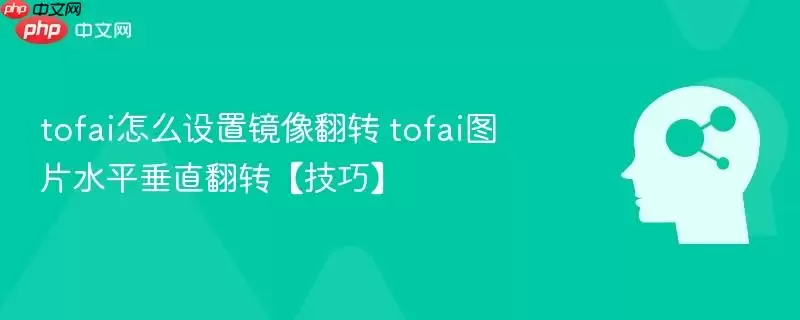 tofai怎么设置镜像翻转 tofai图片水平垂直翻转【技巧】