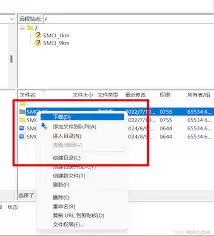 如何通过FTP下载数据资源- FTP下载数据资源的指南
