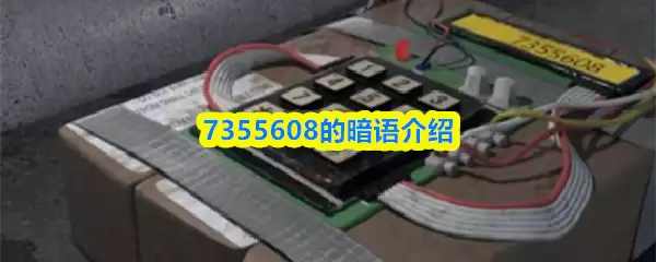 7355608的暗语介绍