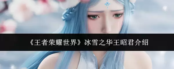 《王者荣耀世界》冰雪之华王昭君介绍
