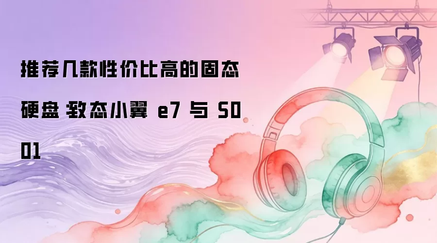 推荐几款性价比高的固态硬盘：致态小翼 e7 与 S001