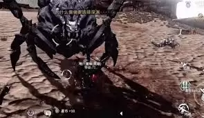 时间秩序地穴魔蛛怎么打-时间秩序地穴魔蛛打法攻略