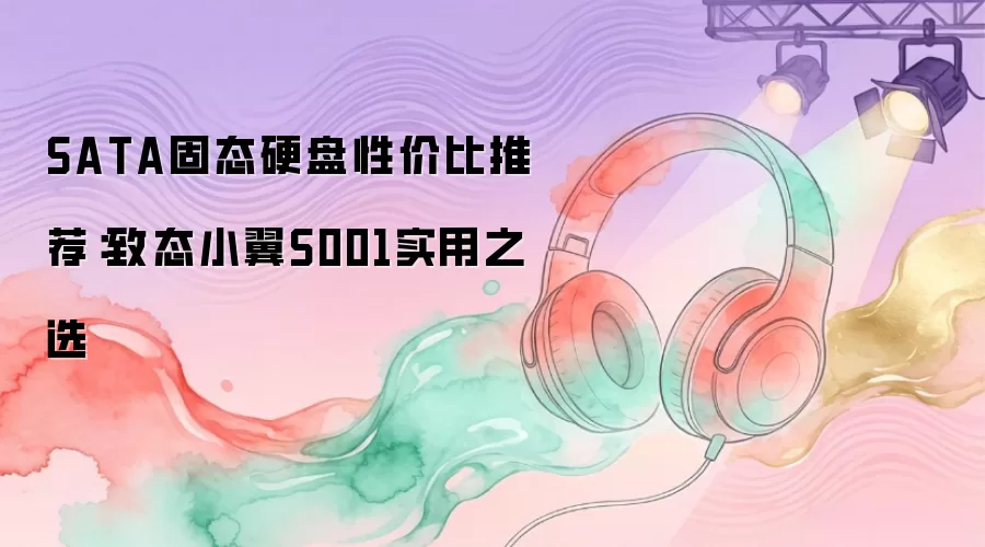 SATA固态硬盘性价比推荐：致态小翼S001实用之选
