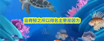 露脊鲸为何得名主要是因为什么-露脊鲸得名主要原因是啥