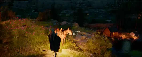 红色沙漠活羊怎么运输