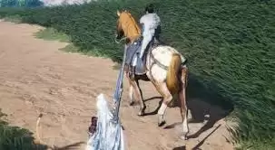 燕云十六声相马与抢马有哪些攻略