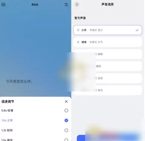 如何进行Kimi声音克隆