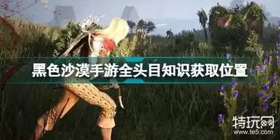 红色沙漠游戏销赃商人在哪