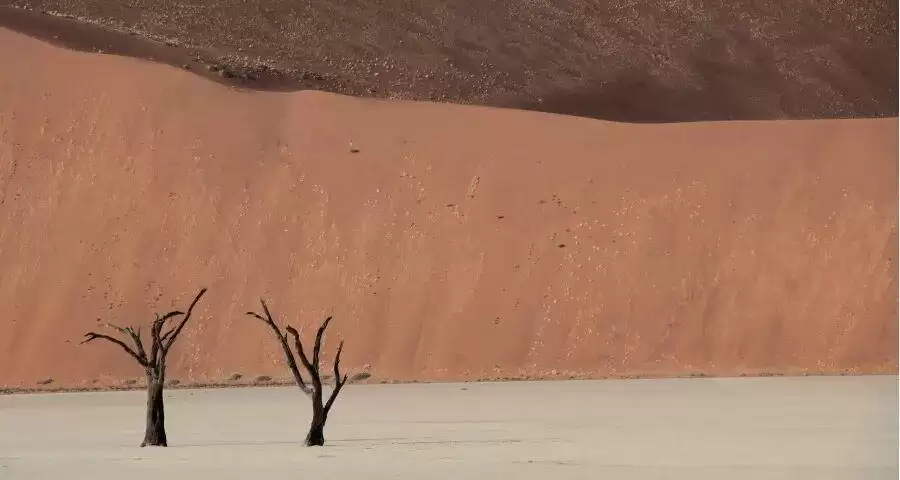 家电厂商的合作关系要回到原点