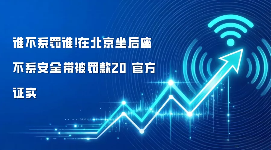 谁不系罚谁！在北京坐后座不系安全带被罚款20 官方证实