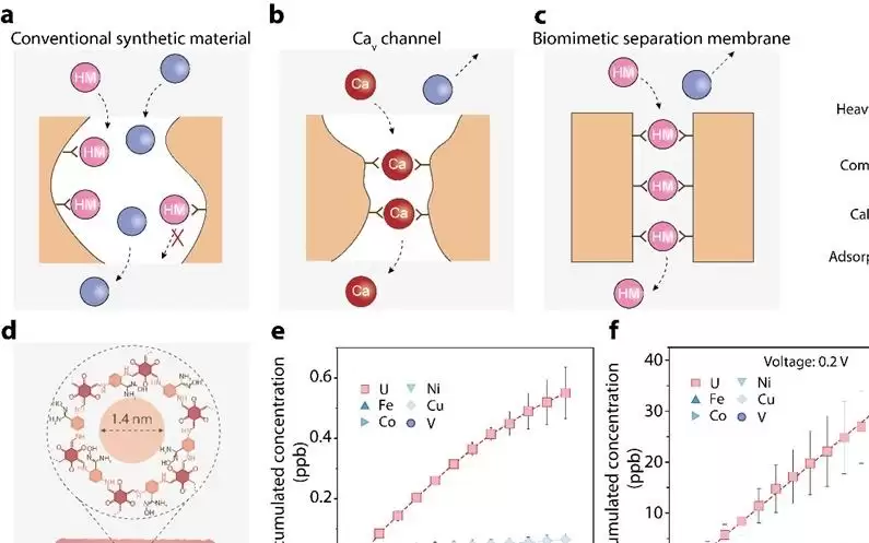 我国科研团队开发关键金属“绿色分离术”