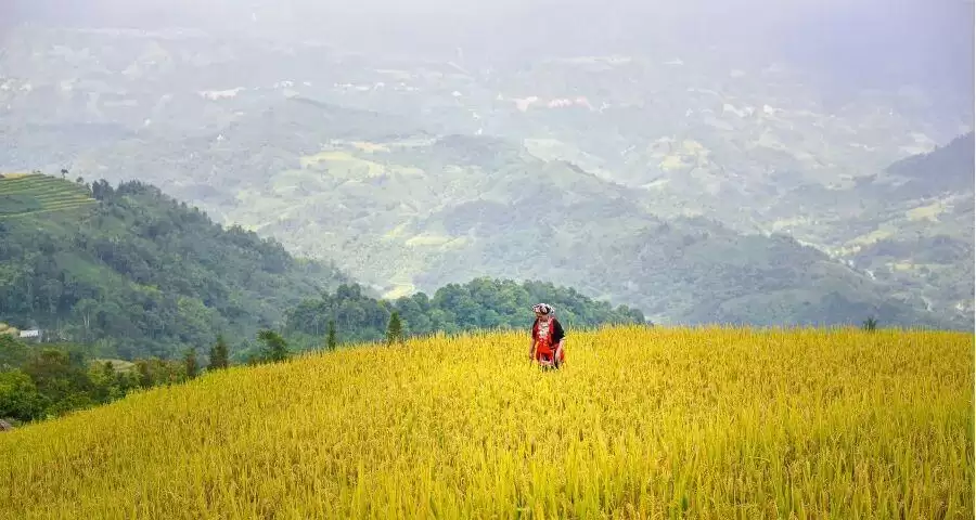 一位家电销售人员的自我修养