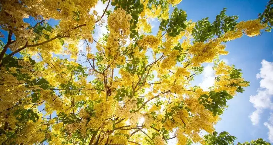 家电产业内卷已经蔓延，底线或失守！