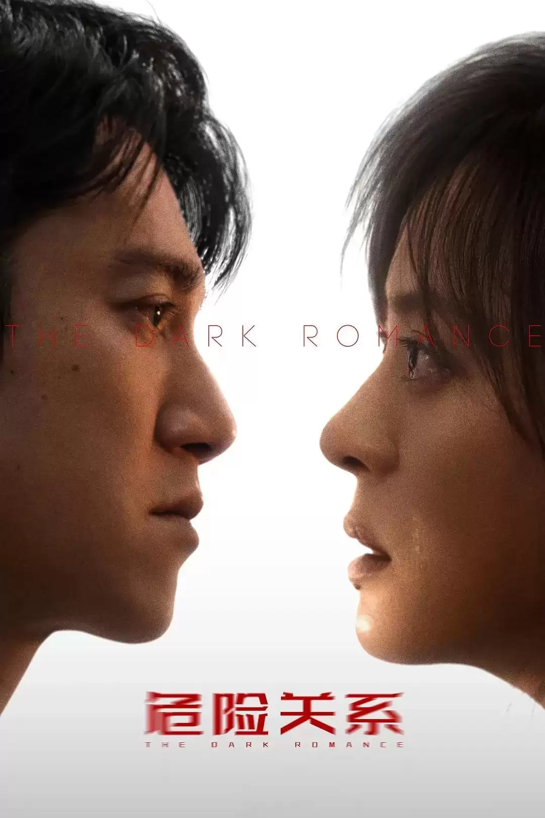 孙俪新剧遭遇“温柔刀”，《危险关系》如何织就悬疑之网