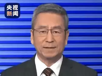 白岩松正面发声，一句话击碎全红婵最大谣言