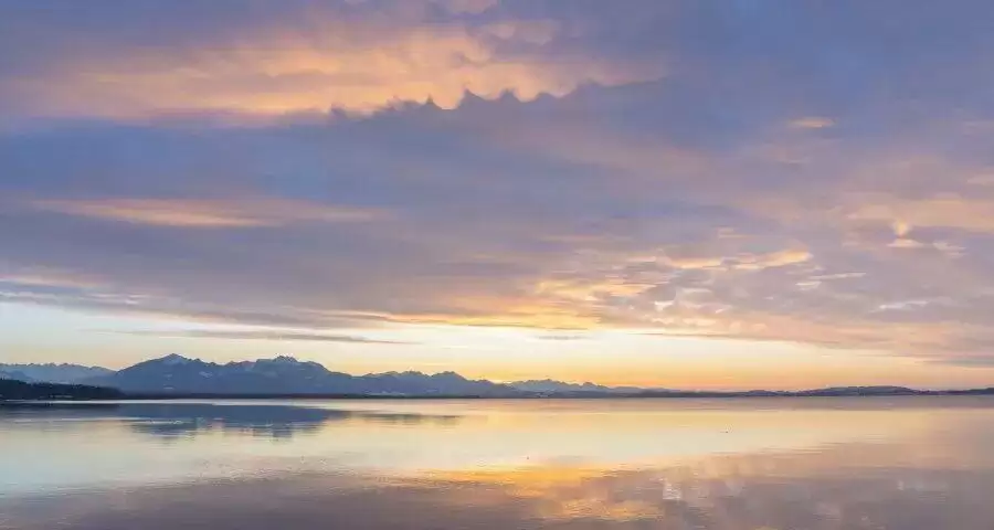 资本抢滩实体店家电厂商快醒醒‍！