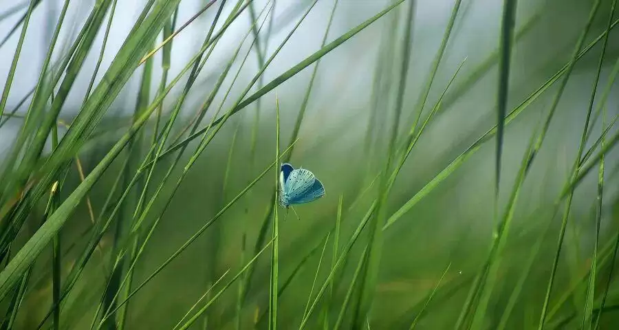 家电线上线下同款同价越搞越乱