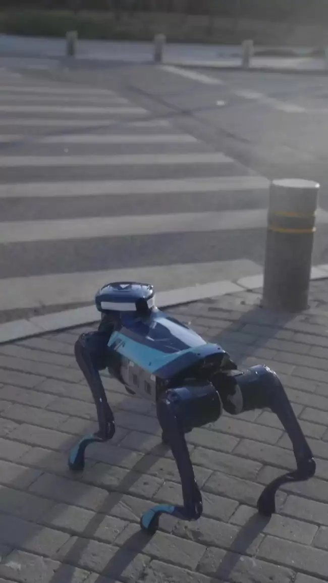 高德机器狗首次街头亮相懂交通信号还能自取奶茶