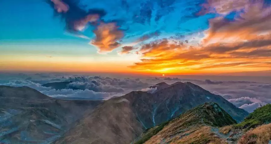 ‍博世西门子家电中国市场营收连跌四年