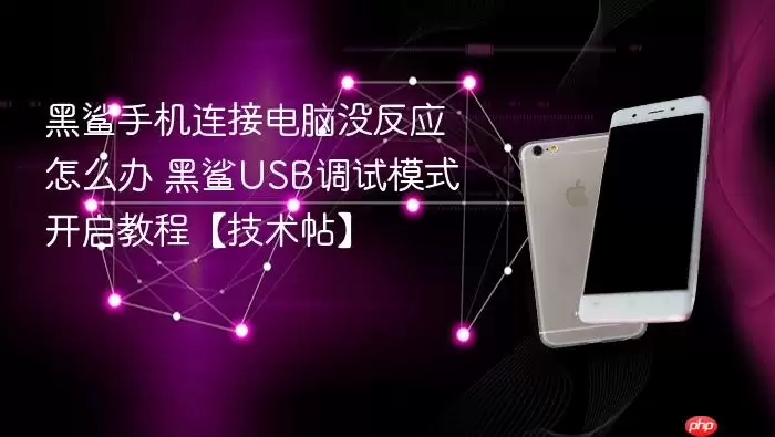 黑鲨手机连接电脑没反应怎么办 黑鲨USB调试模式开启教程【技术帖】