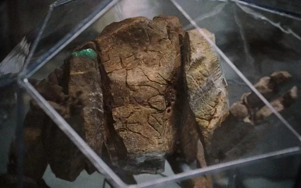 《挽救计划》洛基演员可参评奥斯卡男配！