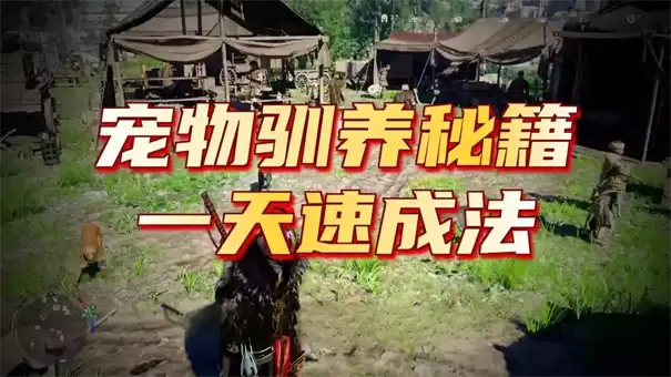 红色沙漠凤凰宠物获取方法