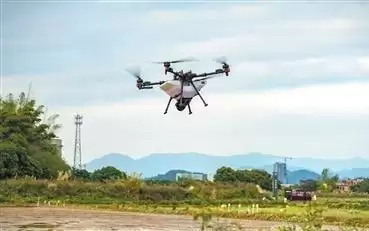 稻田里的AI故事（经济聚焦·农田里的新鲜事）