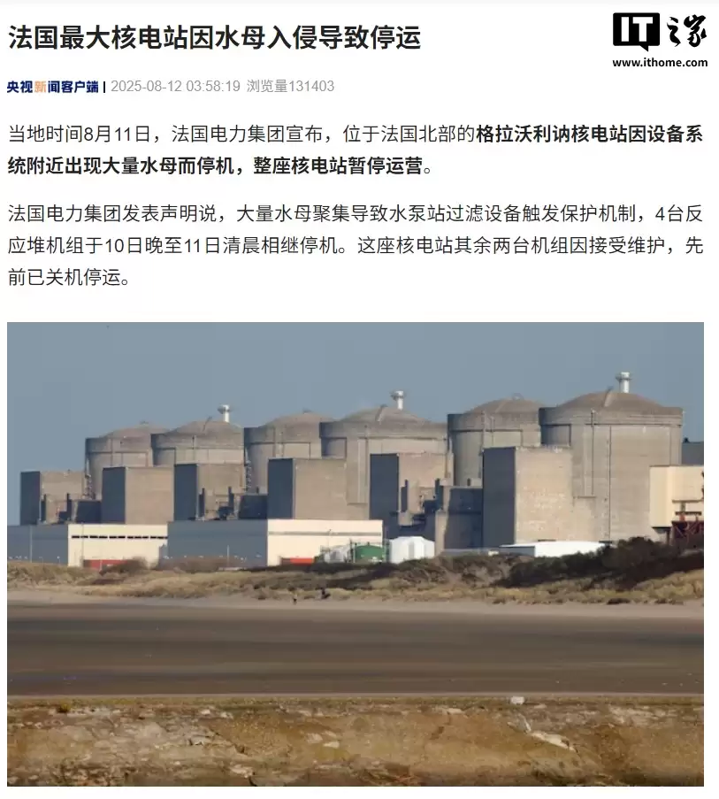 法国最大核电站因水母入侵导致暂停运营