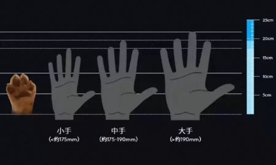 罗技再次翻车！宣传页惊现狗爪与人手同框对比图，网友彻底怒了