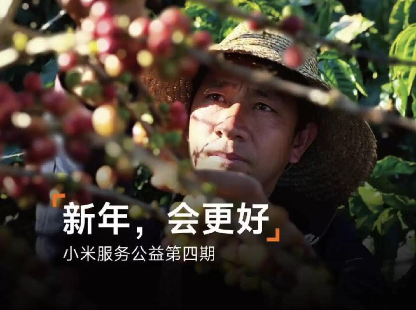 小米公益：2 月 6 日起全国小米之家可免费领云南扶贫咖啡园咖啡豆