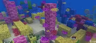 我的世界失活的珊瑚扇用途是什么