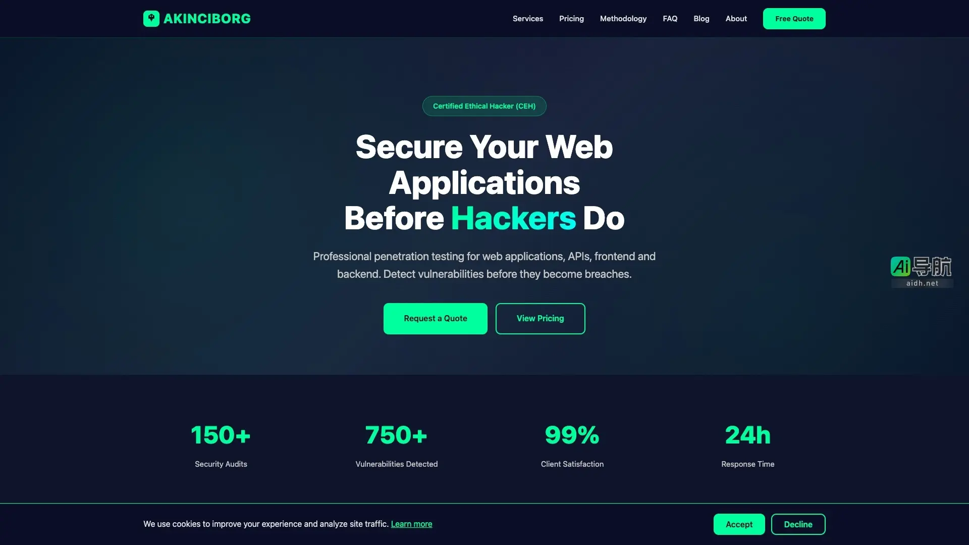 Akinciborg 专注于为网络应用和API提供专业的渗透测试与安全审计服务