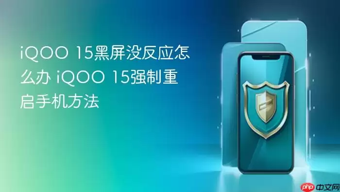 iQOO 15黑屏没反应怎么办 iQOO 15强制重启手机方法