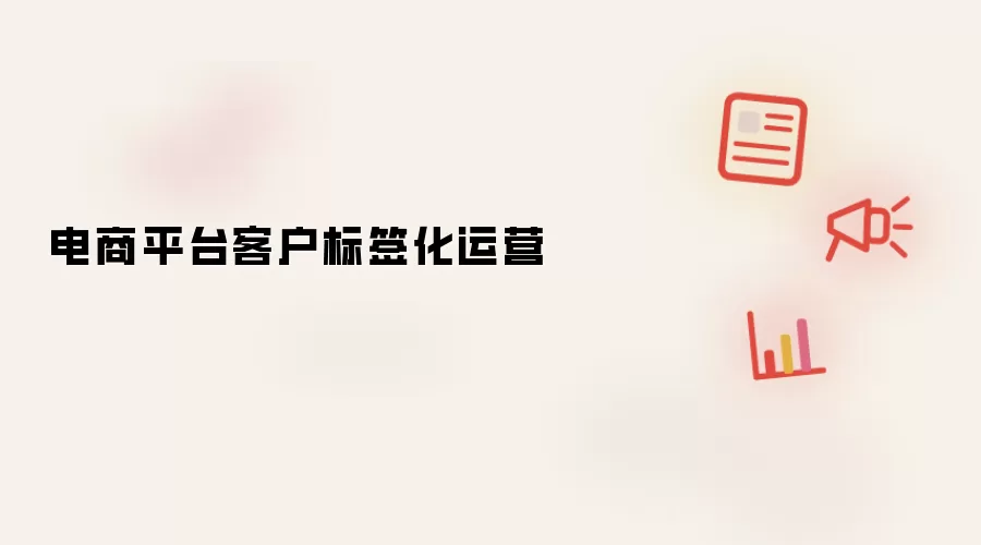 电商平台客户标签化运营