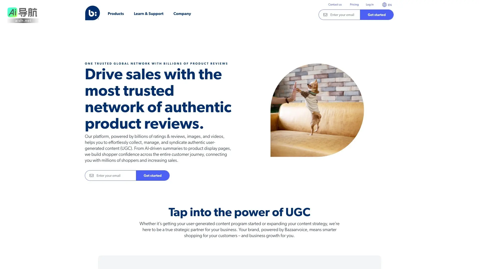 Bazaarvoice 通过用户生成内容提升品牌信任，推动销售增长