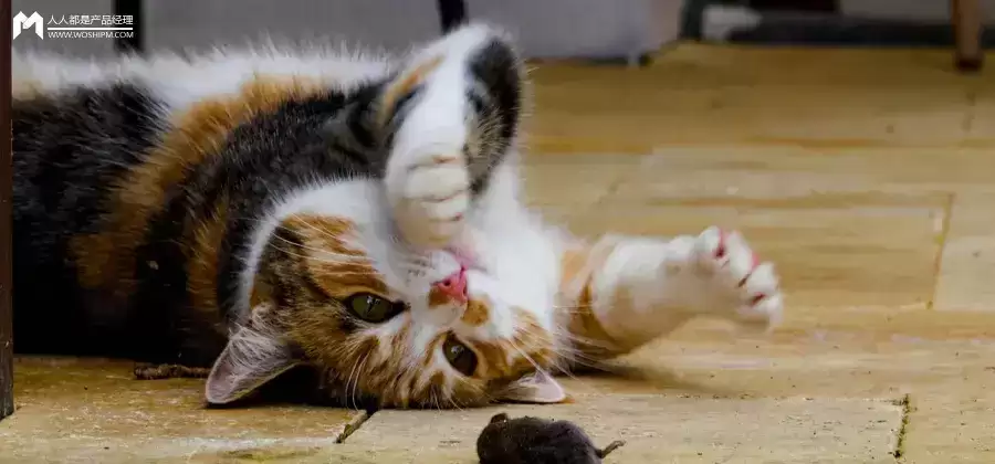 “萝卜纸巾猫”是一个巨大的隐喻