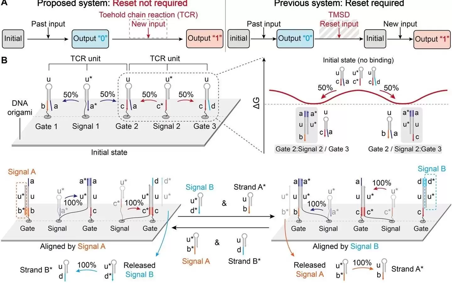 突破2纳米极限：DNA生物晶体管实现分子级计算与存储双重功能