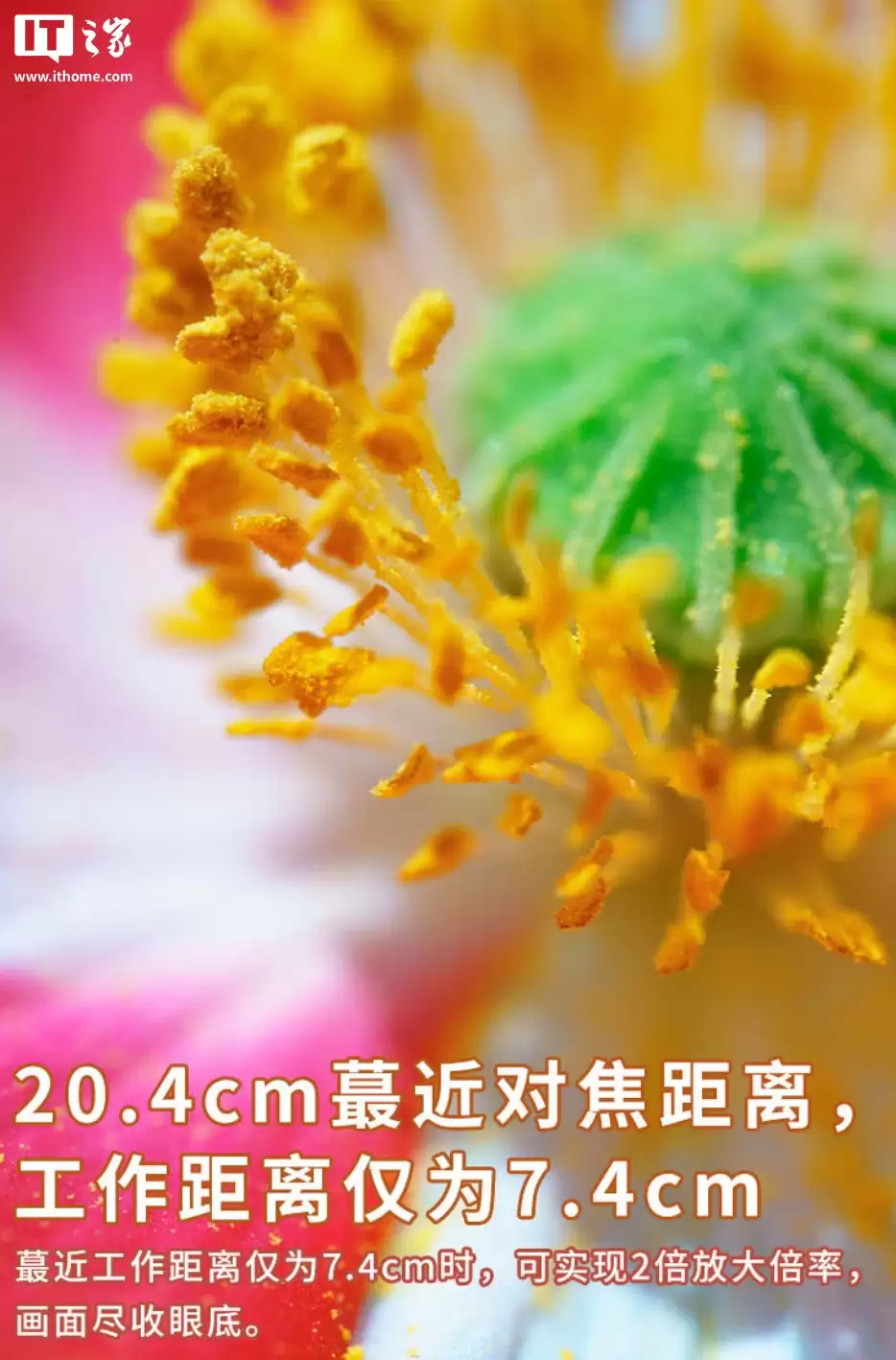 老蛙 90mm f/2.8 手动微距镜头 M4/3 卡口版上市：带电子触点，2950 元